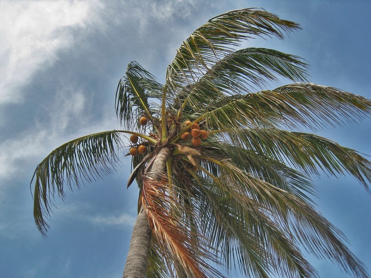 How Strong Is the Wind?